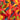 Gummy Worms | 2 Pound Bag | Gummy Candy Made with Real Fruit Juice